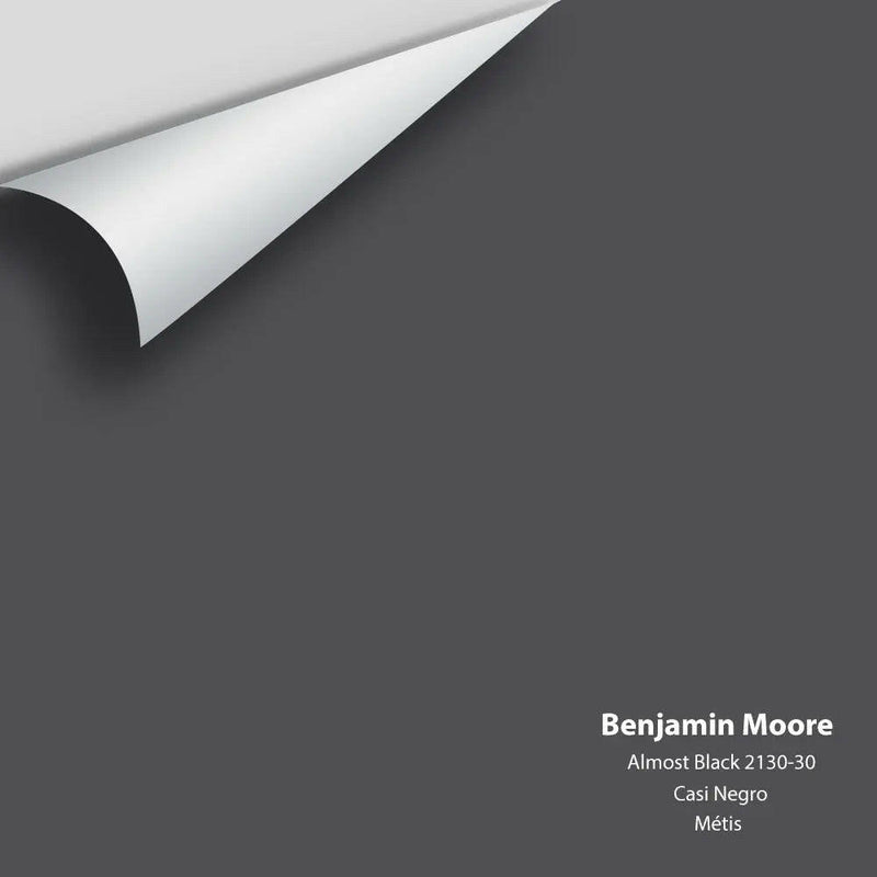 Benjamin Moore - Almost Black 2130-30 Colour Sample Benjamin Moore®