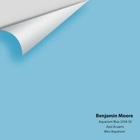 Big Paint Chip - Aquarium Blue 2058-50