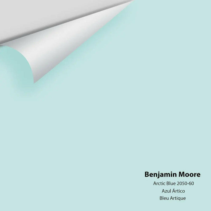 Big Paint Chip - Arctic Blue 2050-60