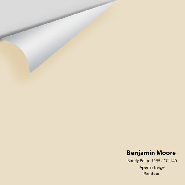 Benjamin Moore - Barely Beige 1066 / CC-140 Colour Sample