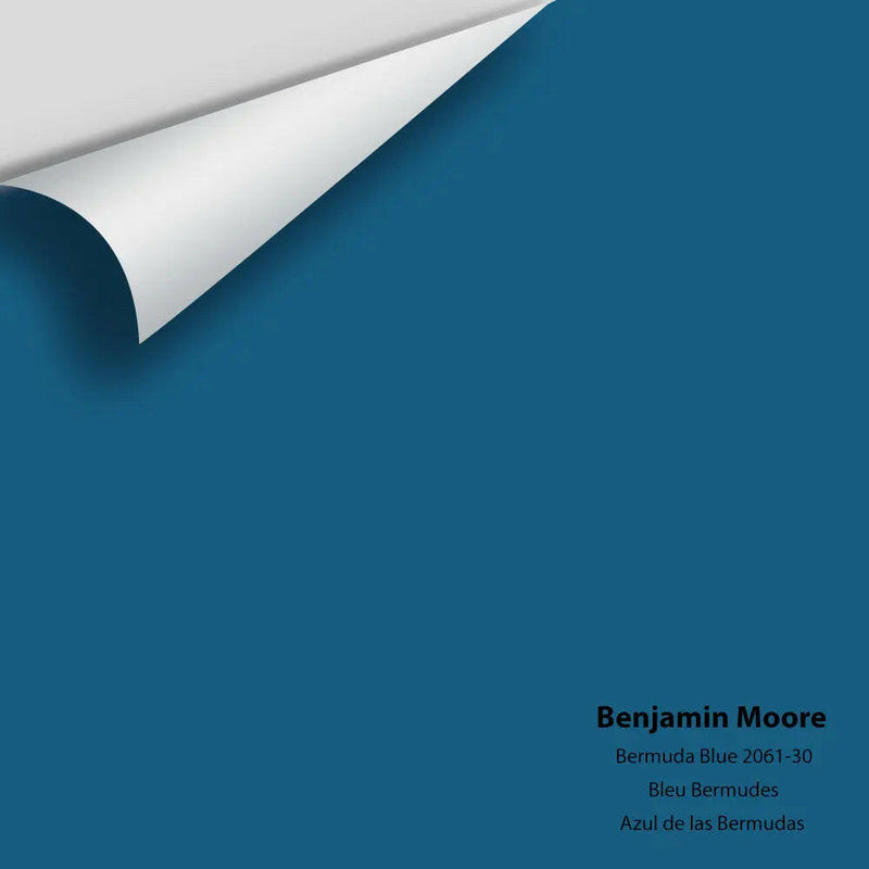 Big Paint Chip - Bermuda Blue 2061-30