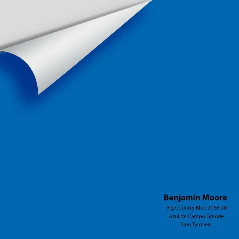 Big Paint Chip - Big Country Blue 2066-30