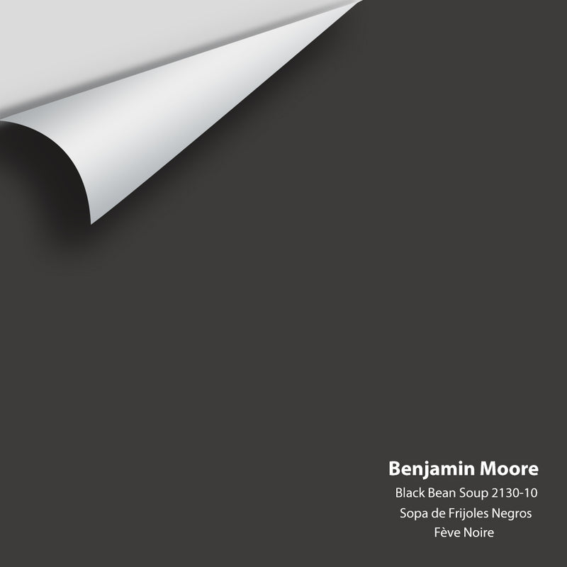 Benjamin Moore - Black Bean Soup 2130-10 Colour Sample