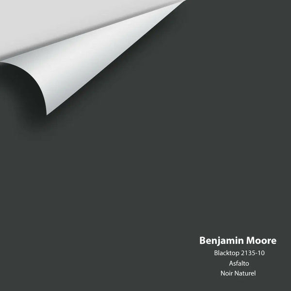 Big Paint Chip - Blacktop 2135-10 Benjamin Moore®
