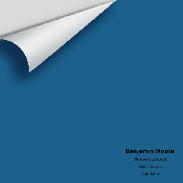 Big Paint Chip - Blueberry 2063-30