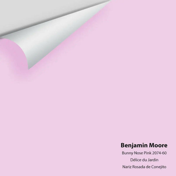 Big Paint Chip - Bunny Nose Pink 2074-60