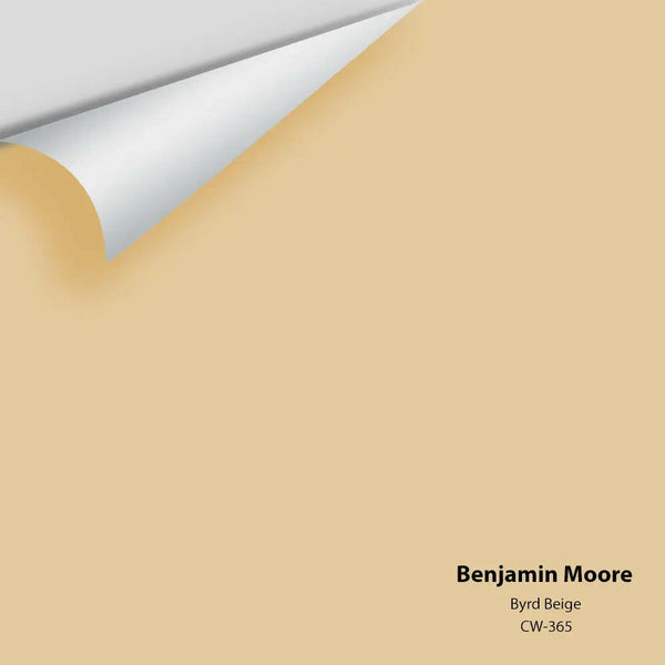 Benjamin Moore - Byrd Beige CW-365 Colour Sample