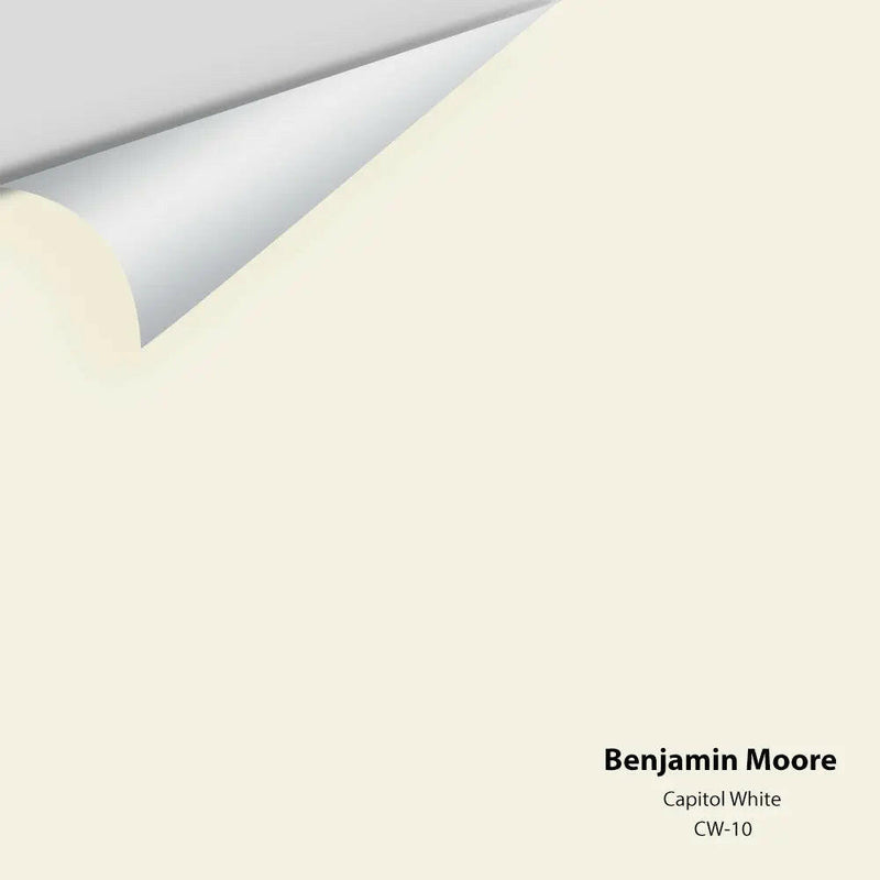 Benjamin Moore - Échantillon de couleur Abalone 2108-60