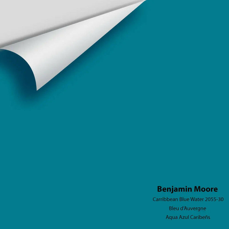 Big Paint Chip - Caribbean Blue Water 2055-30