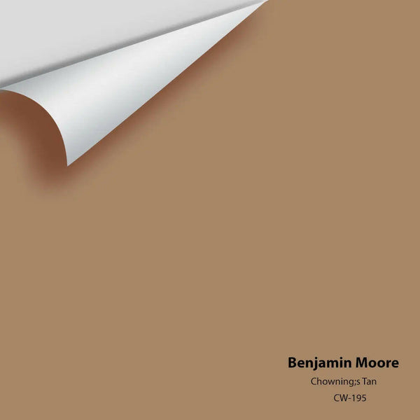 Benjamin Moore - Chowning's Tan CW-195 Colour Sample