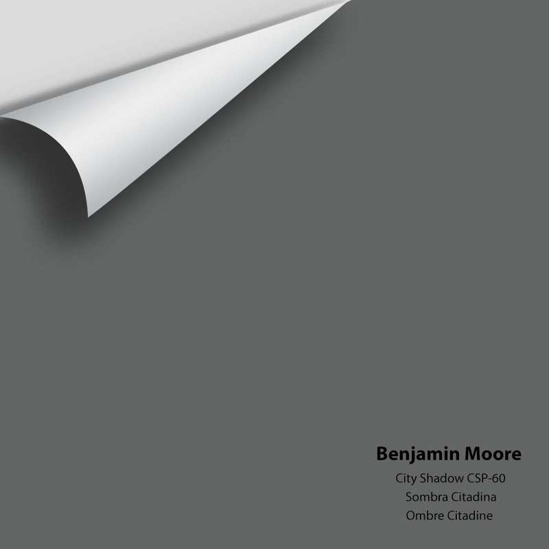 Benjamin Moore - City Shadow CSP-60 Colour Sample
