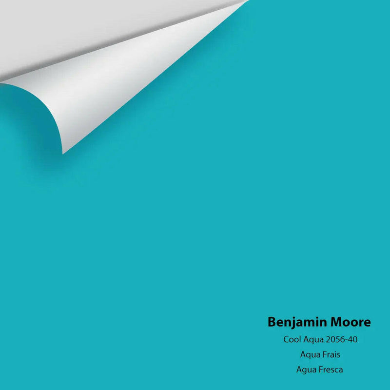 Big Paint Chip - Cool Aqua 2056-40