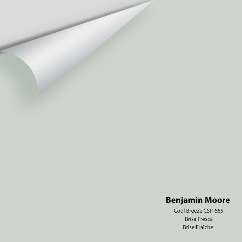 Benjamin Moore - Cool Breeze CSP-665 Colour Sample