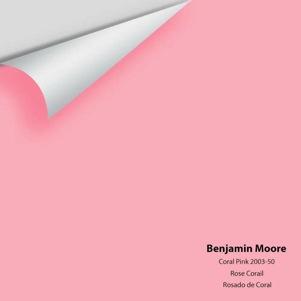 Big Paint Chip - Coral Pink 2003-50