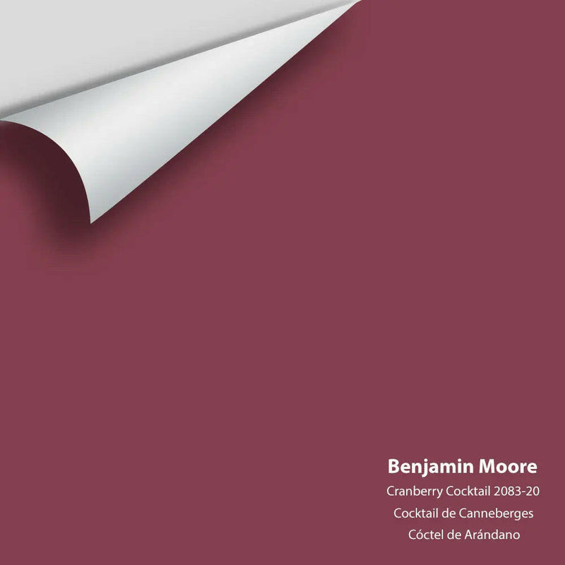 Big Paint Chip - Cranberry Cocktail 2083-20