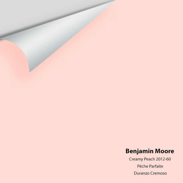 Big Paint Chip - Creamy Peach 2012-60
