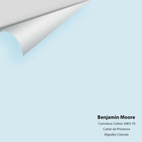 Big Paint Chip - Cumulus Cotton 2063-70
