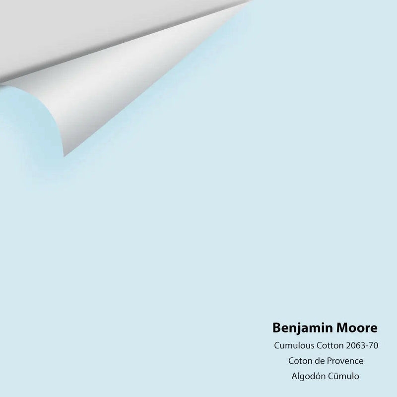 Big Paint Chip - Cumulus Cotton 2063-70