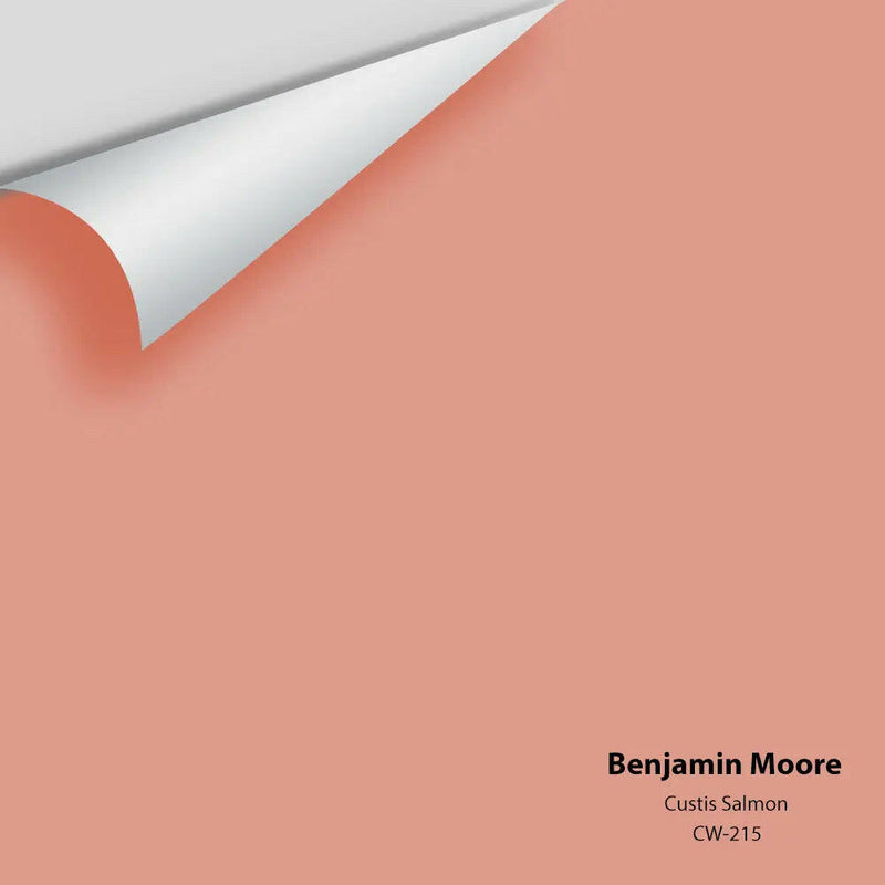 Benjamin Moore - Custis Salmon CW-215 Colour Sample