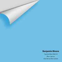 Big Paint Chip - Cayman Blue 2060-50