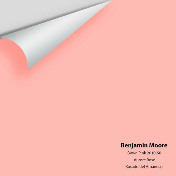Big Paint Chip - Dawn Pink 2010-50