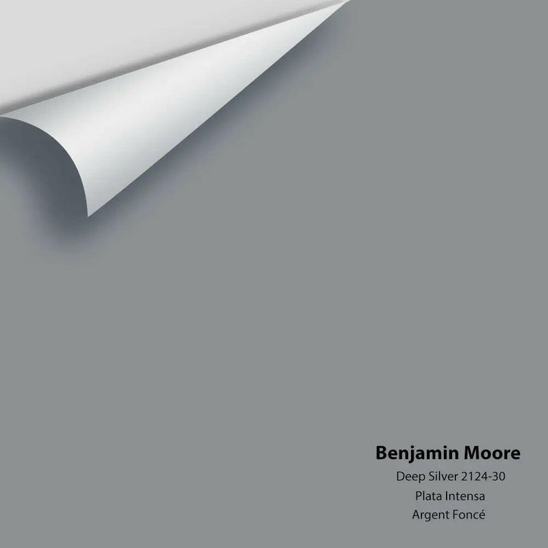Benjamin Moore - Deep Silver 2124-30 Colour Sample