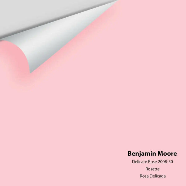 Big Paint Chip - Delicate Rose 2008-50
