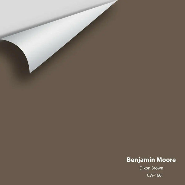 Benjamin Moore - Dixon Brown CW-160 Colour Sample