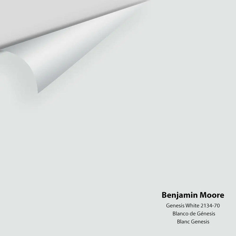 Big Paint Chip - Genesis White 2134-70