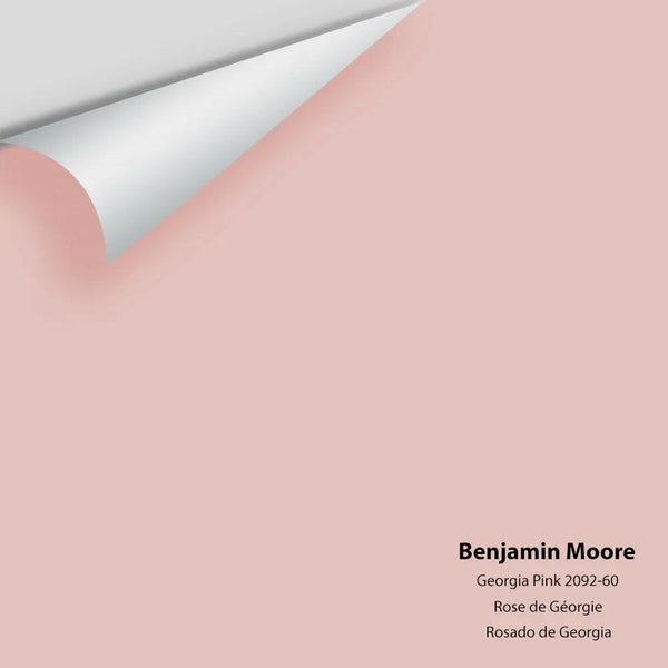 Big Paint Chip - Georgia Pink 2092-60