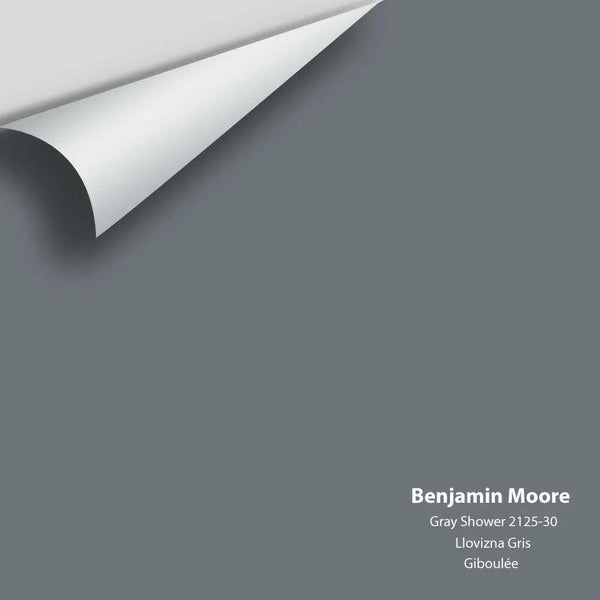 Benjamin Moore - Gray Shower 2125-30 Colour Sample