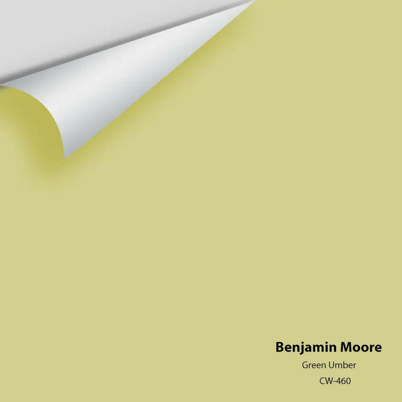 Benjamin Moore - Green Umber CW-460 Colour Sample