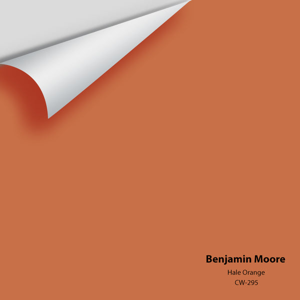 Benjamin Moore - Hale Orange CW-295 Colour Sample