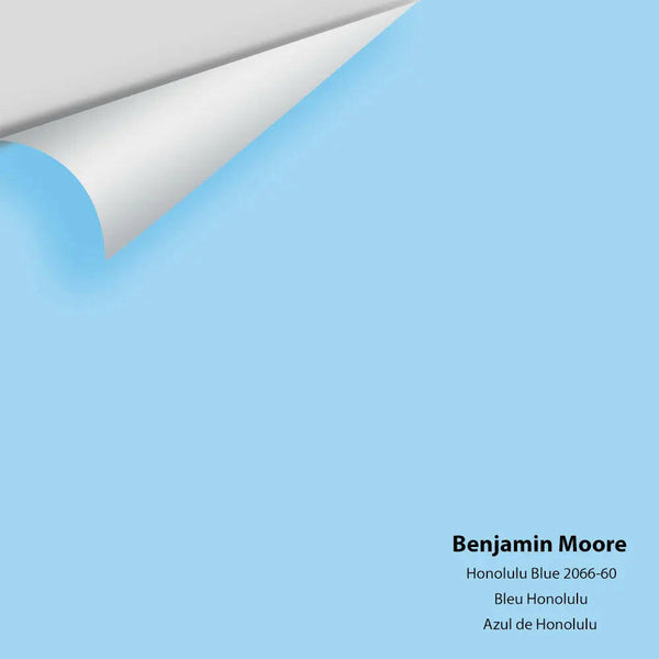 Big Paint Chip - Honolulu Blue 2066-60