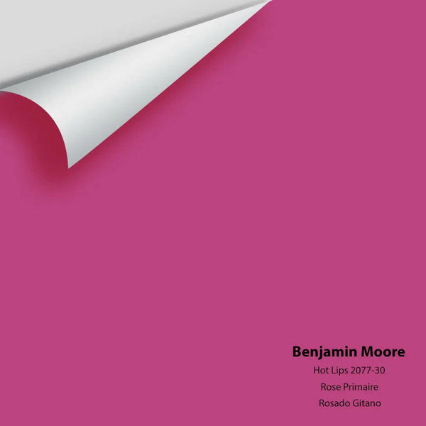 Big Paint Chip - Hot Lips 2077-30