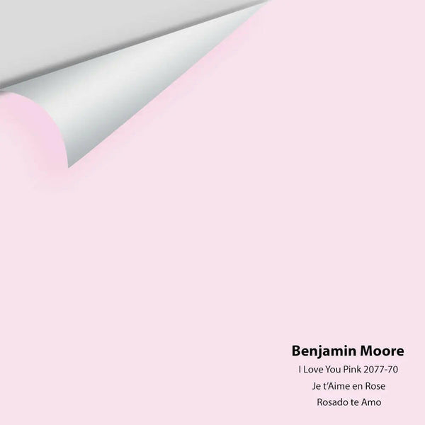Big Paint Chip - I Love You Pink 2077-70