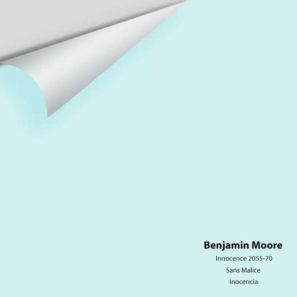 Big Paint Chip - Innocence 2055-70