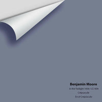 Big Paint Chip - In the Twilight 1434 / CC-934