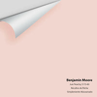 Big Paint Chip - Just Peachy 2173-60