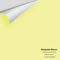 Big Paint Chip - Lemon Freeze 2025-50