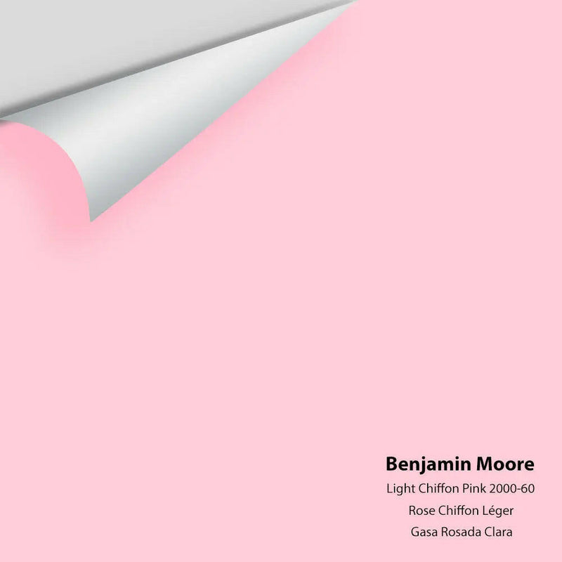 Big Paint Chip - Light Chiffon Pink 2000-60