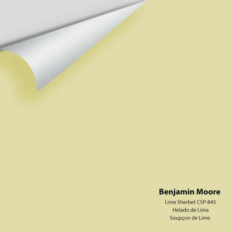 Big Paint Chip - Lime Sherbet CSP-845