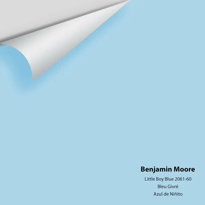 Big Paint Chip - Little Boy Blue 2061-60