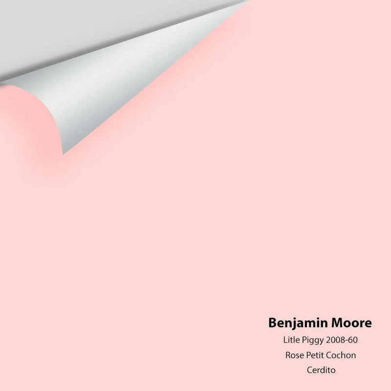 Big Paint Chip - Little Piggy 2008-60