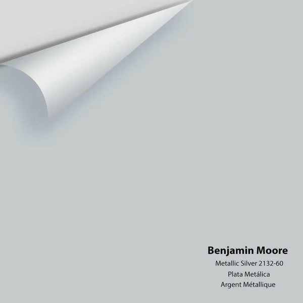 Big Paint Chip - Metallic Silver 2132-60 Colour Sample