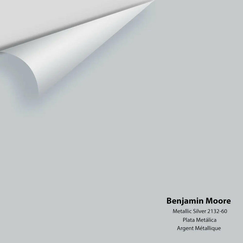 Big Paint Chip - Metallic Silver 2132-60 Colour Sample
