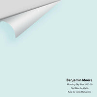 Big Paint Chip - Morning Sky Blue 2053-70