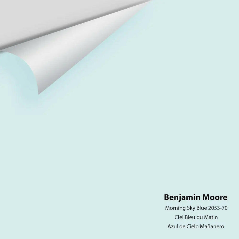 Big Paint Chip - Morning Sky Blue 2053-70
