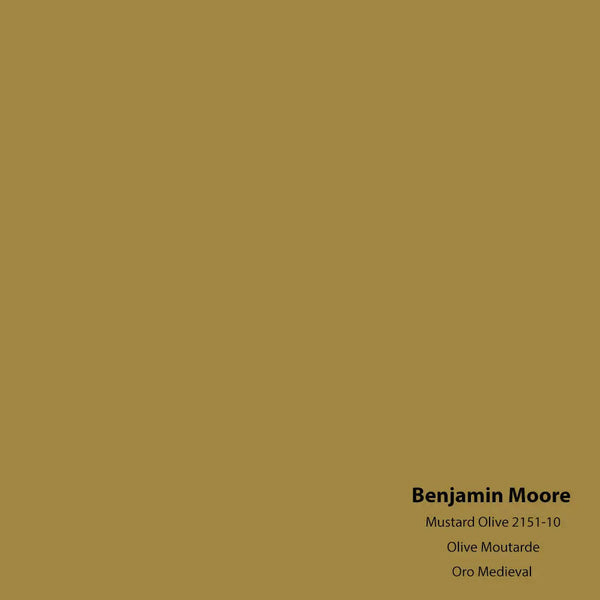 Big Paint Chip - Mustard Olive 2151-10