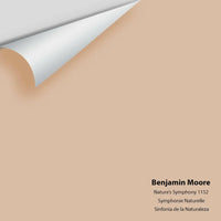 Benjamin Moore - Nature’s Symphony 1152 Colour Sample